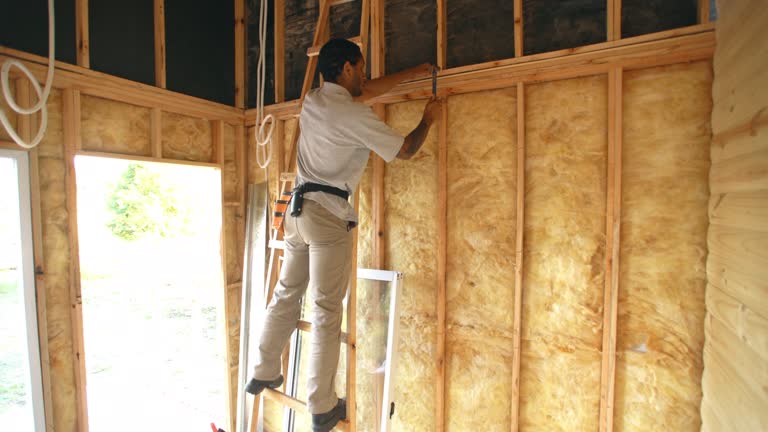 Best Eco-Friendly or Green Insulation Solutions  in Maumelle, AR