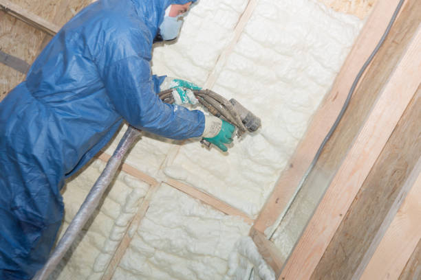 Best Insulation Replacement  in Maumelle, AR