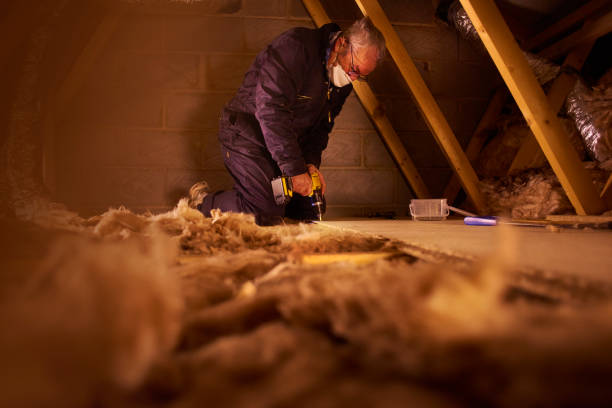 Best Attic Insulation Installation  in Maumelle, AR